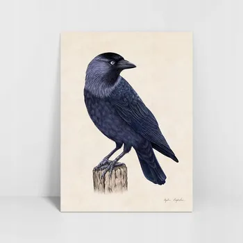 Obraz Káva autorská ilustrace 30x40 - Tukan Media