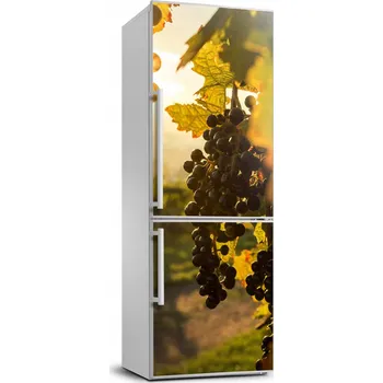 Fototapeta Samolepka na ledničku Krajina Vinice 70x190