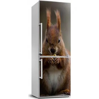 Fototapeta Samolepicí samolepící na ledničku na zeď Veverka