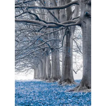 Obraz Plakát Stromy v řadě - Modré listy bez rámu 20,5 x 28,4 cm