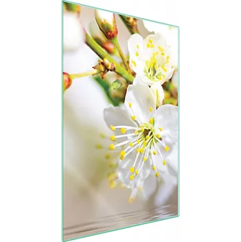 Obraz Krájecí deska TMK ArtDeko sklo 1 ks