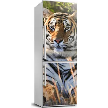 Fototapeta Samolepka / Fólie na lednici - Lednice Tygr 70x190 cm