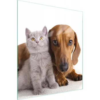 Kuchyňské prkénko Krájecí deska TMK ArtDeko sklo 1 ks