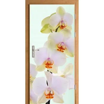 Fototapeta FOTOTAPETA samolepicí fólie na dveře ORCHIDEJ KVĚTY