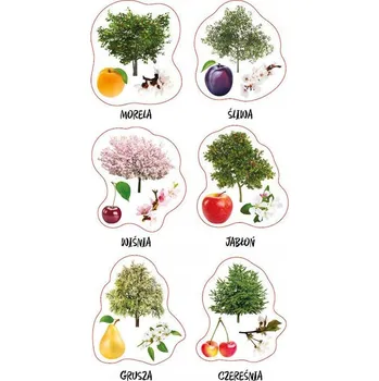 samolepka Samolepky klasické Ranok-Creative 1 ks