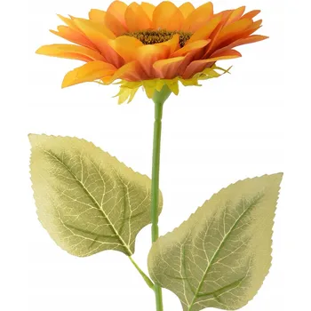 Slunečnice LUX VC4162