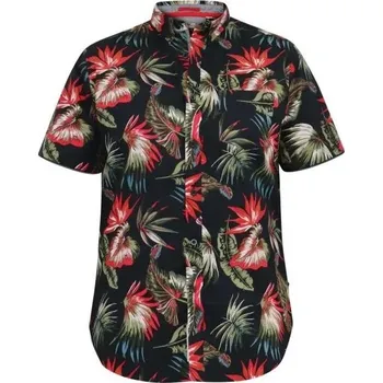 Pánská košile Pánská letní košile "havajka" s krátkým rukávem - v nadměrné velikosti 4206