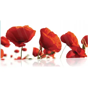 Obraz Skleněný obraz na skle KVĚTY červené vlčí máky 125x50