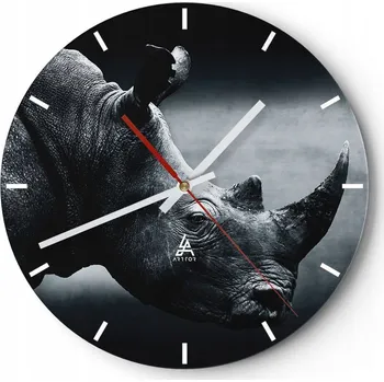 Hodiny Velké nástěnné hodiny 40x40 Nosorožec Skleněné hodiny Kulatý Tiché
