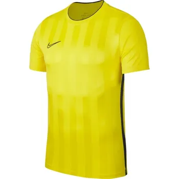 Pánské tričko Triko Nike M NK BRT ACDMY TOP SS GX2 ao0049-732 Velikost M