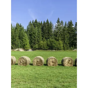 Obraz Plakát Stohy sena na travnatém poli bez rámu 30 x 40 cm