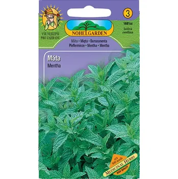 Semeno Semena Máta - Mentha