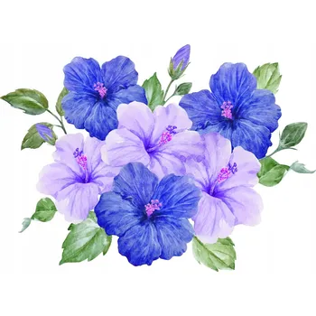 Obraz SAMOLEPKY ibišky KVĚTY modré na ZEĎ S