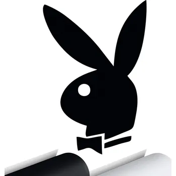 Samolepicí dekorace na vozidlo NÁLEPKA na auto Králíček Králík 14x9