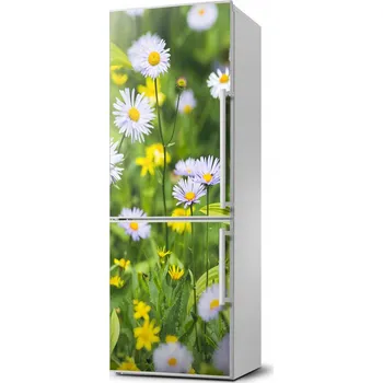 Fototapeta Magnet samolepicí tapeta na ledničku Sedmikrásky 60x180