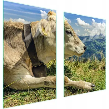 Kuchyňské prkénko Krájecí deska TMK ArtDeko sklo 2 ks