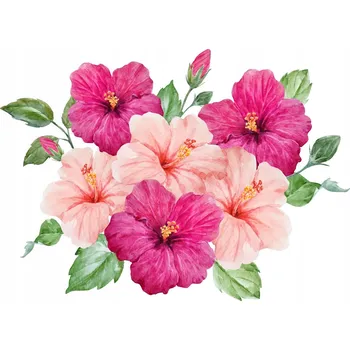 Obraz SAMOLEPKY sada květiny IBIŠKY růžové na zeď M