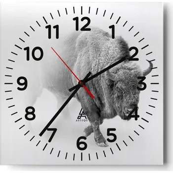 Hodiny Nástěnné hodiny do obýváku 40x40 Zubr Tiché hodiny na skle Stylové Bezhlučné