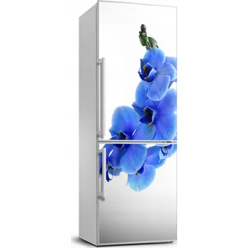 Fototapeta Samolepící nálepka Modrá orchidej
