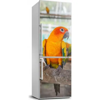 Fototapeta Samolepicí samolepící na ledničku a zeď Papoušek