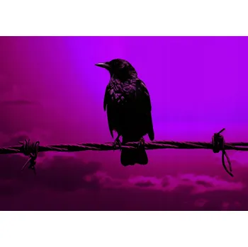 Plakát Plakát Silueta Tajemství bez rámu 42 x 29,7 cm