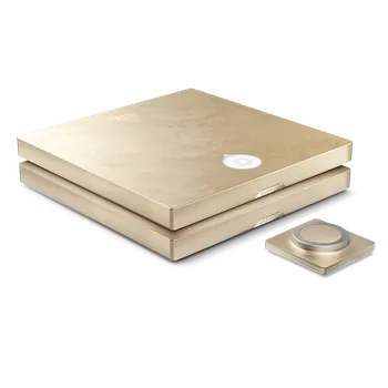 Hi-Fi Zesilovač Devialet Astra Opéra de Paris Dual