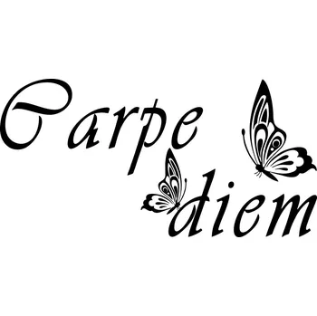 Obraz Samolepka na stěnu Drukant W-C0241_140 carpe diem černá 140x70 cm