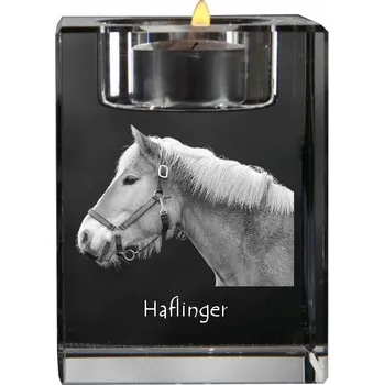 Svícen Haflinger - svícen s fotografií kočky, křišťálový podstavec na čajovou svíčku,