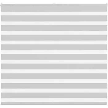 vidaXL Zebra roleta 165x100 cm šířka látky 160,9 cm polyester [4014222] Barva: světle šedá