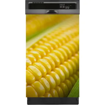 Obraz Foto-magnet na myčku nádobí, kryt Kukuřice 45x70 cm