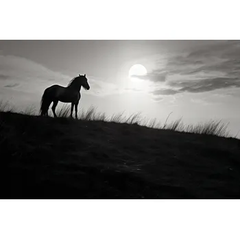 Plakát Plakát Měsíční hlídka bez rámu, 91,5 x 61 cm