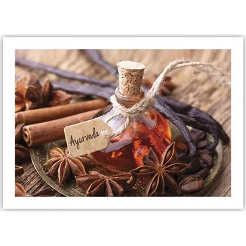 Obraz Plakát bez rámu do obývacího pokoje ložnice 70x50 skořice moderní módní obraz