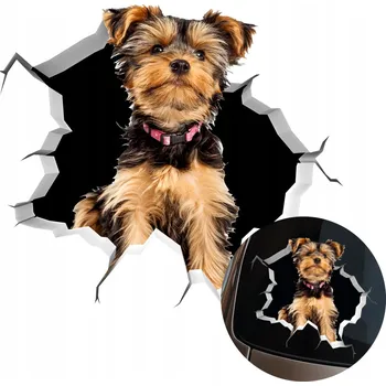 Samolepicí dekorace na vozidlo SAMOLEPKA Grafika na auto rozbité okno Vypadající Pes YORKSHIRE TERIÉR 15x14,5