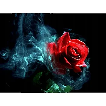 Obraz Obraz MALOVÁNÍ PODLE ČÍSEL Pampicio RÁM 50x40 Červená růže