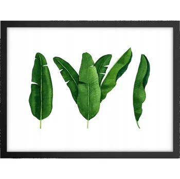 Obraz Obraz plakát v černém rámu do obýváku 40x30 banánovník foto na zeď