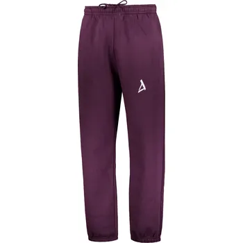 Pánské tepláky ALTISPORT BYB/ALM002BY286 VÍNOVÁ XXL