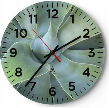 Hodiny Kuchyňské nástěnné hodiny 30x30 Sukulent Moderní skleněné hodiny do obýváku Tiché