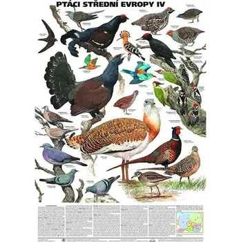 Bystrá hlava Plakát - Ptáci střední Evropy 4. díl