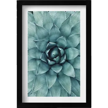 Obraz Dekorativní nástěnný obraz v rámu s grafikou Zelená rostlina sukulent 20x30 cm