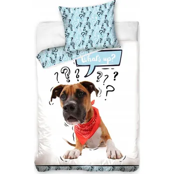 Povlečení Sada povlečení Carbotex 140 x 200 cm, vícebarevné