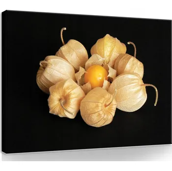 Obraz OBRAZ NA PLÁTNĚ PLÁTNO 80x60 MOCHYNĚ