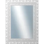 DANTIK - Zrcadlo v rámu 60x80 | ROKOKO stříbrná házená