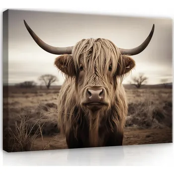 Obraz OBRAZ NA PLÁTNĚ SKOTSKÁ KRAVA NA ZEĎ MODERNÍ DO LOŽNICE OBÝVÁKU 40x30