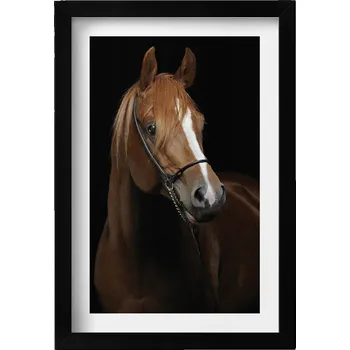 Obraz Dekorativní nástěnný obraz v černém rámu s grafikou: Kůň - hnědý hřebec, 20x30 cm