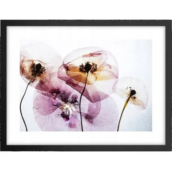 Obraz Obraz plakát v černém rámu do obýváku 40x30 květiny foto plakáty na zeď
