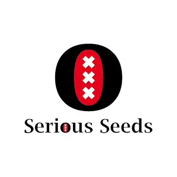 Semeno Serious Seeds Auto White Russian Počet ks Feminizované: 6