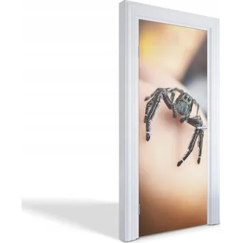 Fototapeta Samolepka samolepící dekorace na dveře a nábytek Skákací pavouk 85 x 205 cm