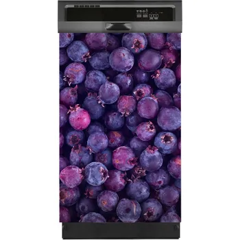 Obraz Foto-magnet na myčku Borůvkové ovoce 45x70 cm