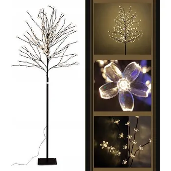 Vánoční stromek Vánoční stromek Gordon 101 - 120 cm