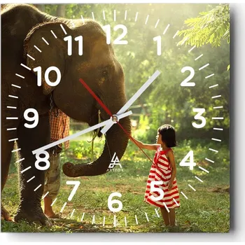 Hodiny Nástěnné hodiny do obýváku 40x40 Zvířata Bezhluczne Skleněné hodiny Tiché